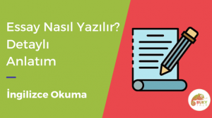 essay yapmak nedir