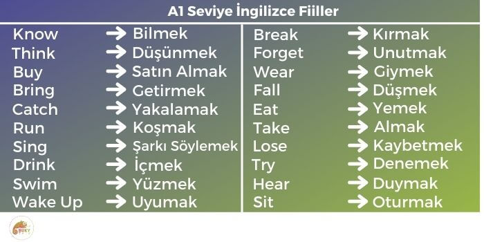 A1 Seviye İngilizce Kelimeler Fiiller Ve Anlamları | BukyTalk