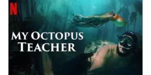 My Octopus Teacher İngilizce Belgeseli