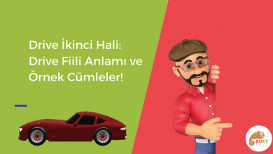 Photo of Drive İkinci Hali: Drive Fiili Anlamı ve Örnek Cümleler!       