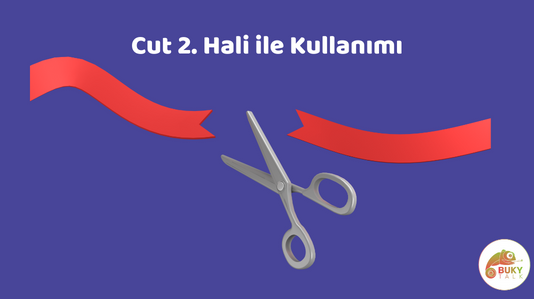 cut-2.-hali